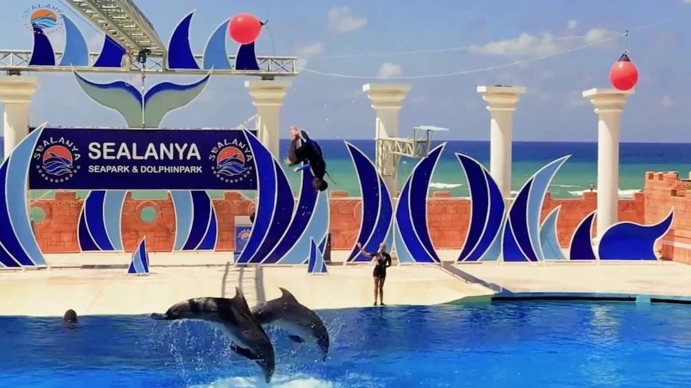 Picture 16 for Activity Alanya: Sealanya Dolphinpark Dolphin Show Tour