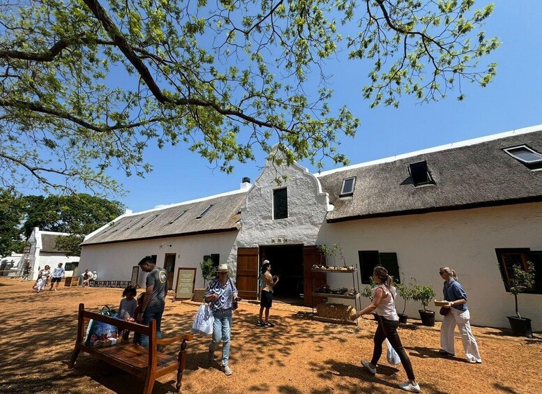 Picture 10 for Activity Private Signature Wine Tour - Cape Winelands