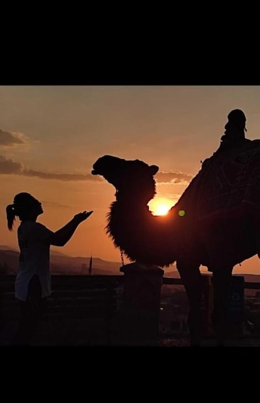 Picture 10 for Activity From Cappadocia: Sunrise or Sunset Camel Riding Day Trip