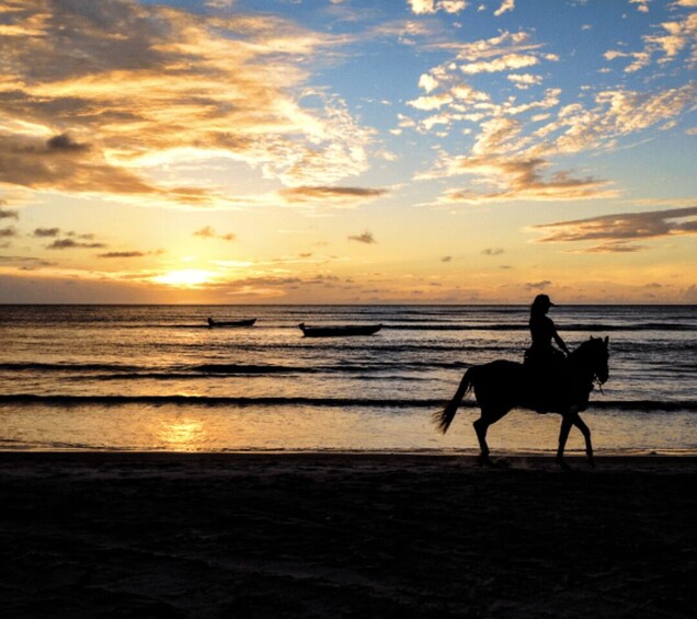 Picture 6 for Activity Cartagena: Horseback Riding on the Beach at Sunset