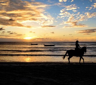 Cartagena: Sunset Beach Excursion on Horses with Tour Guide
