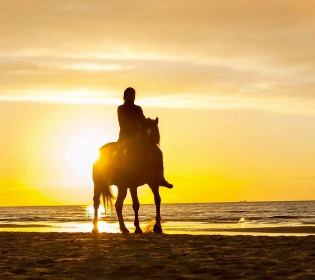 Cartagena: Horseback Riding on the Beach at Sunset