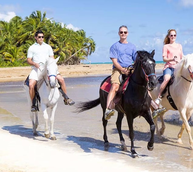 Picture 2 for Activity Cartagena: Horseback Riding on the Beach at Sunset