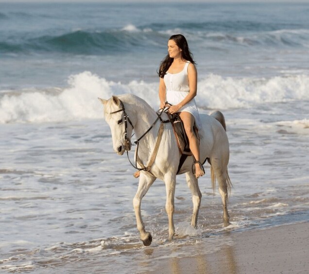 Picture 1 for Activity Cartagena: Horseback Riding on the Beach at Sunset