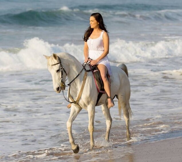 Picture 1 for Activity Cartagena: Horseback Riding on the Beach at Sunset