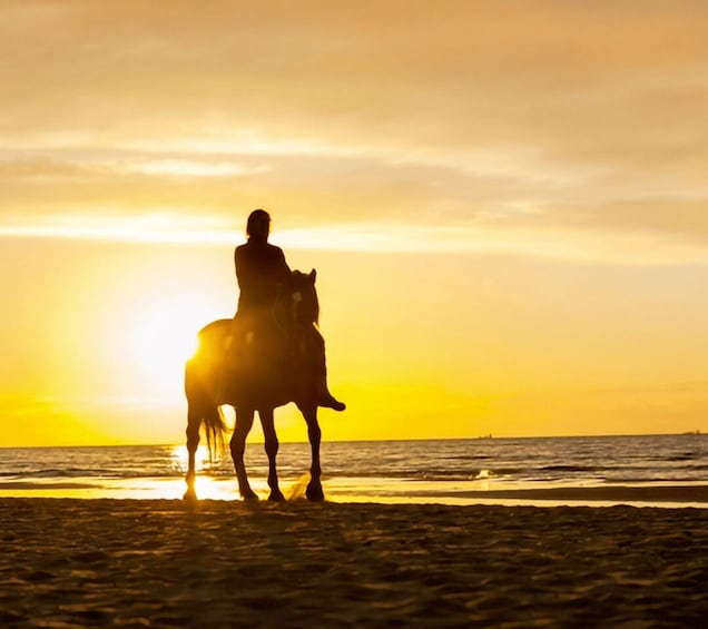 Cartagena: Horseback Riding on the Beach at Sunset