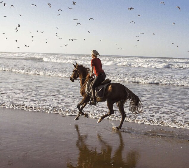 Picture 4 for Activity Cartagena: Horseback Riding on the Beach at Sunset