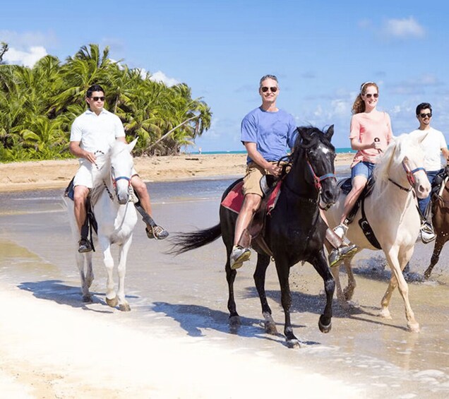 Picture 2 for Activity Cartagena: Horseback Riding on the Beach at Sunset