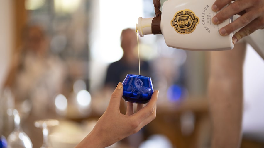 Governor's Olive Tour with Tasting Experience
