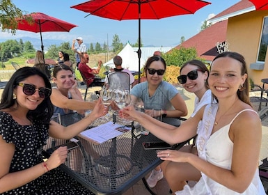 Kelowna: E-Bike Guided Wine Tour with Lunch & Tastings