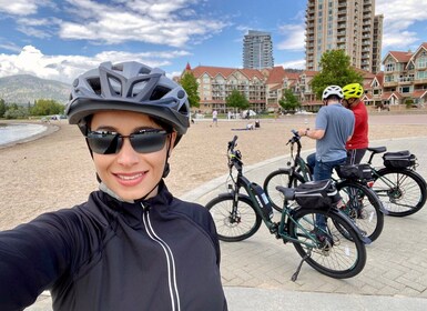 Kelowna: E-Bike Guided Wine Tour with Lunch & Tastings