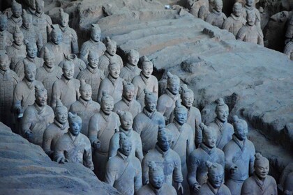 Private Tour to Terra Cotta Museum &Optional City Highlights