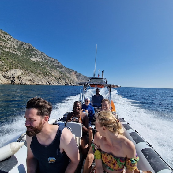 Picture 3 for Activity Sesimbra: Speedboat Tour Through Parque Natural da Arrábida