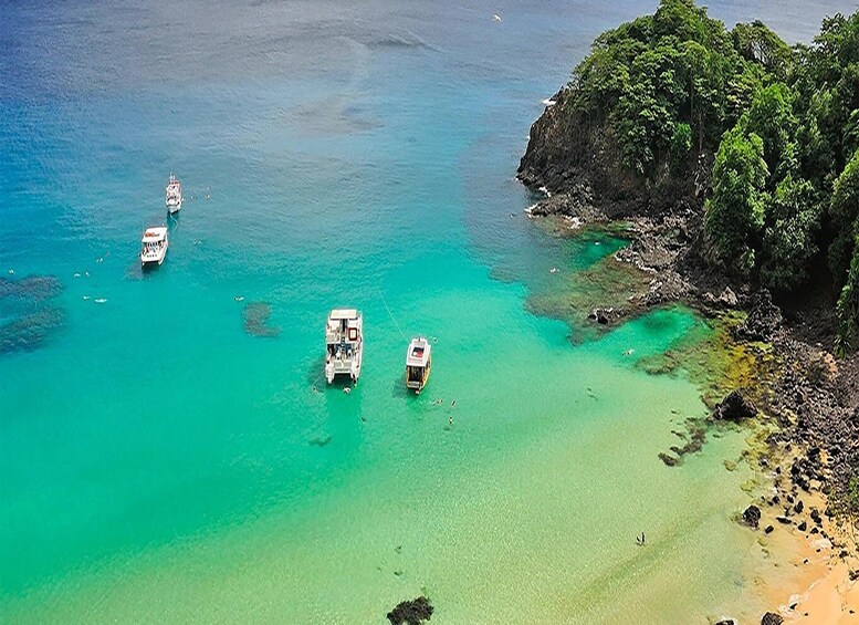 Picture 1 for Activity Discover Noronha: 7-Hour Ilhatour Adventure