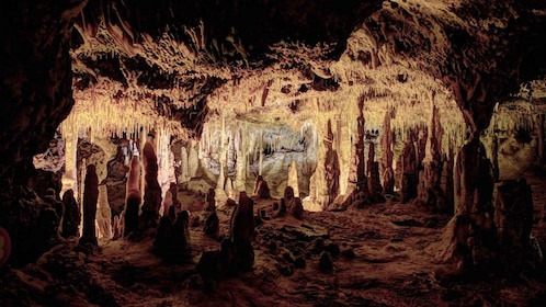 Maiorca: Tour di mezza giornata delle Grotte di Hams con visita al negozio ...