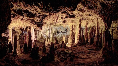 Mallorca: Excursión de medio día a las Cuevas del Hams con visita a una tie...