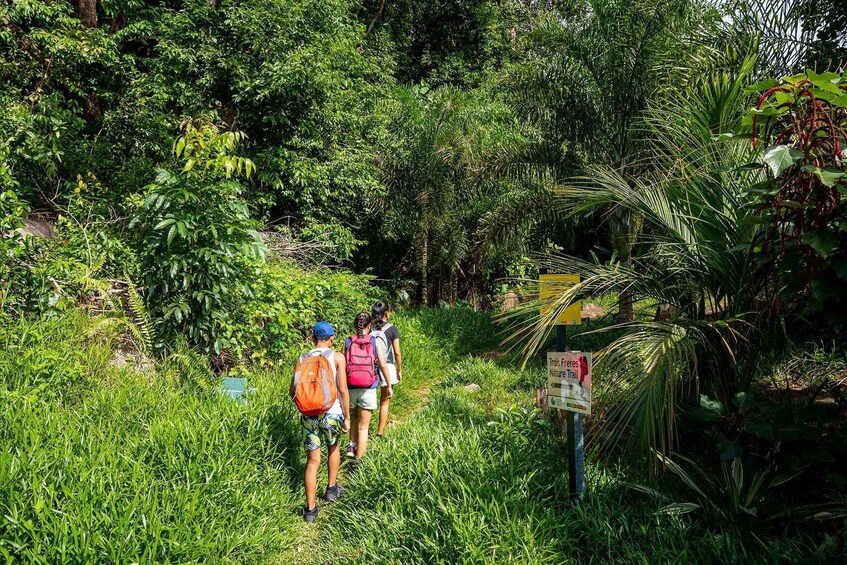 Picture 6 for Activity From Mahe: Nature Trail Trois Freres