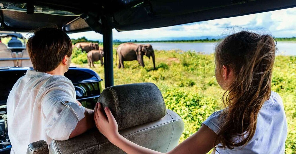 Picture 5 for Activity From Ella: Udawalawe Safari with Elephant Transit Home Visit