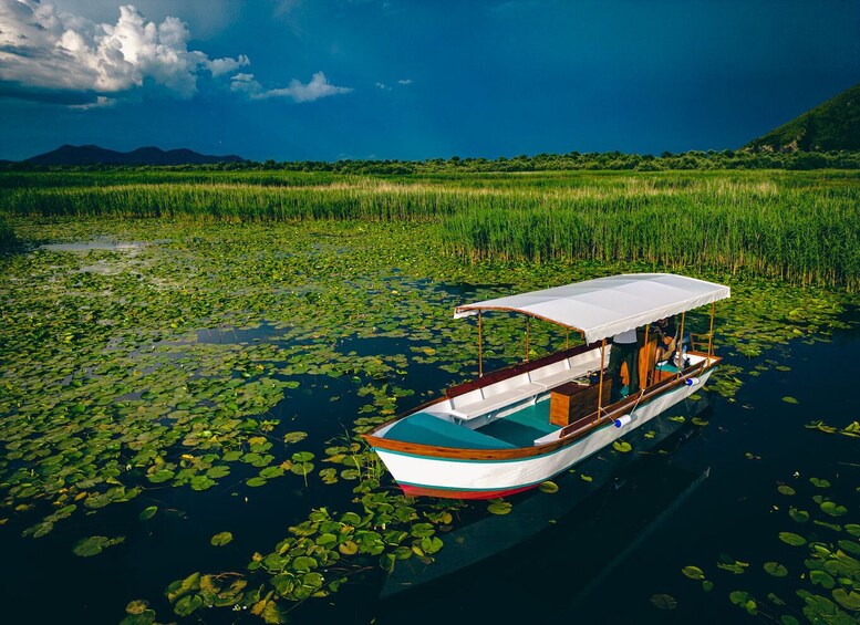 Picture 7 for Activity Explore Skadar Lake: Exclusive Guided Boat Falcon Tour!