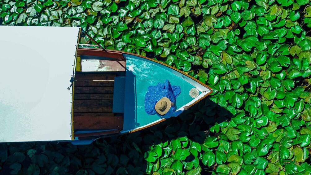 Picture 22 for Activity Explore Skadar Lake: Exclusive Guided Boat Falcon Tour!