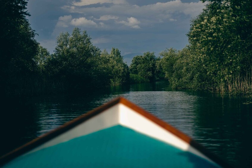 Picture 9 for Activity Explore Skadar Lake: Exclusive Guided Boat Falcon Tour!