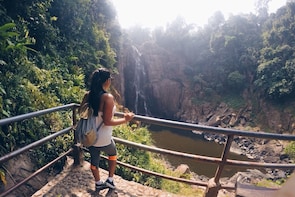 Khao Yai National Park & Thai Cooking Experience