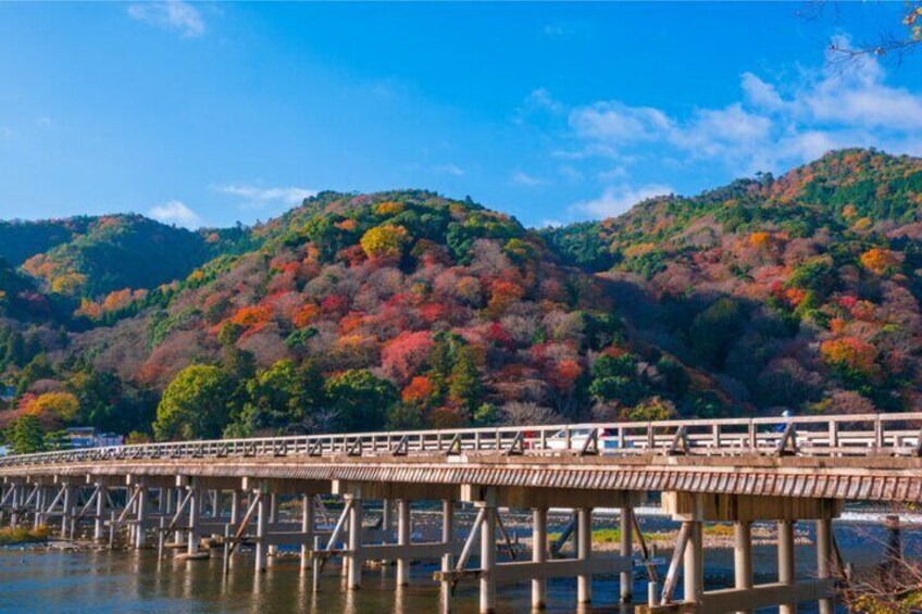 Osaka, Nara and Kyoto Day Trip with English Speaking Driver