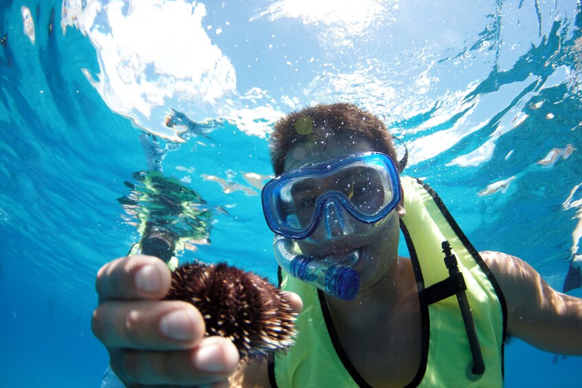 Kawaihae Luxury Snorkel Cruise