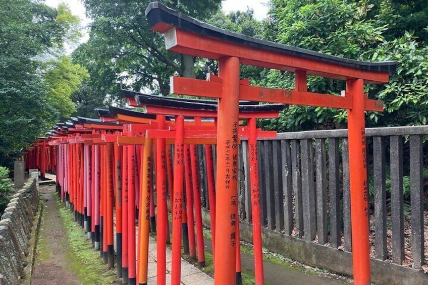 Nezu Shrine and Yanaka backstreet walking tour by Storyteller