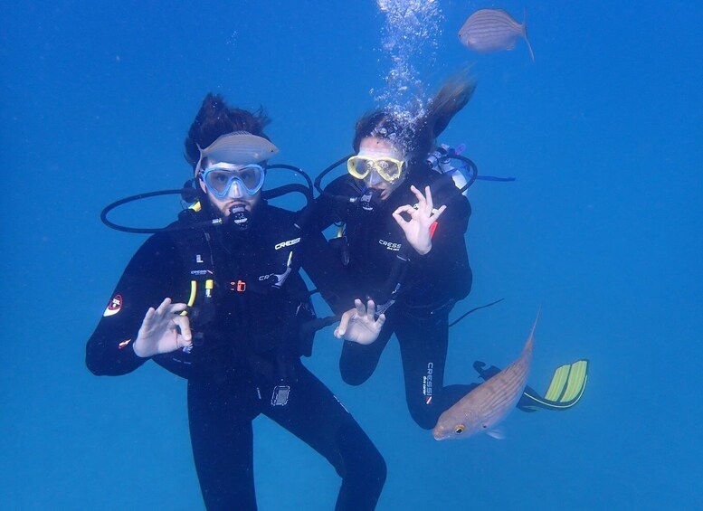 Picture 11 for Activity First Experience underwater. Try Scuba Diving