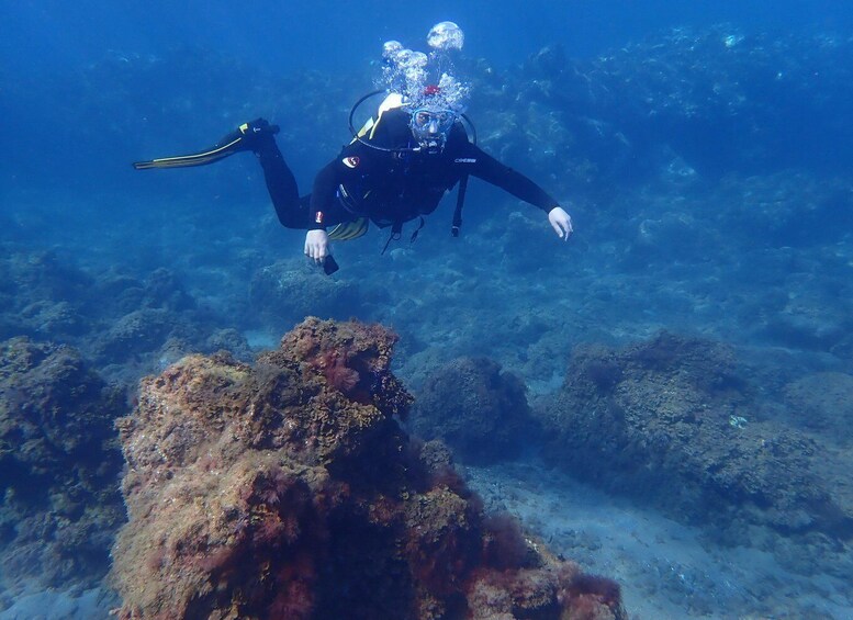Picture 10 for Activity First Experience underwater. Try Scuba Diving
