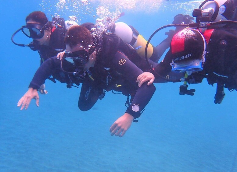 Picture 1 for Activity First Experience underwater. Try Scuba Diving