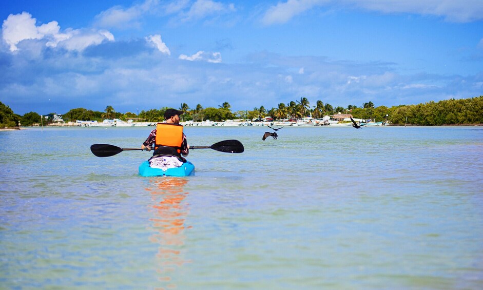 Isla Columpios & Progreso Day Trip