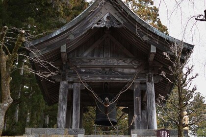 私人日光之旅與英語司機