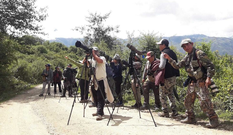 Machu Picchu Birding Tour from Ollantaytambo