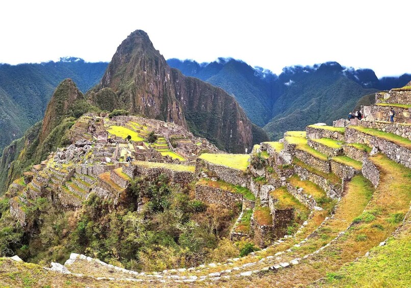 Machu Picchu Birding Tour from Ollantaytambo