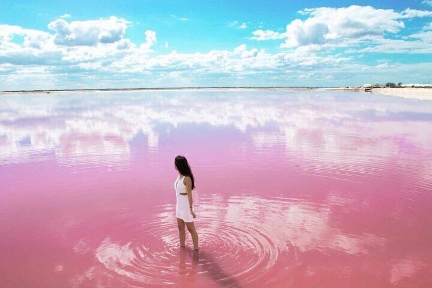 Las Coloradas and Río Lagartos Excursion from Playa del Carmen