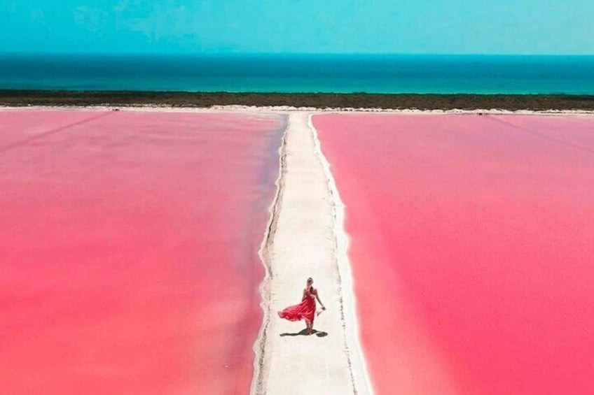 Las Coloradas and Río Lagartos Excursion from Playa del Carmen