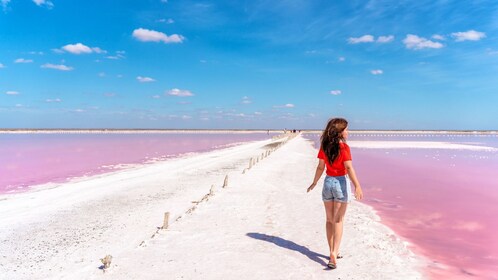 Excursión de un día a Motul, Hacienda, Xcambo, Pink Salt Mine y Progreso