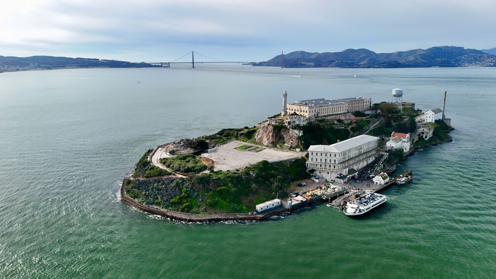 Alcatraz Day Tour with Aquarium + Muir Woods & Sausalito