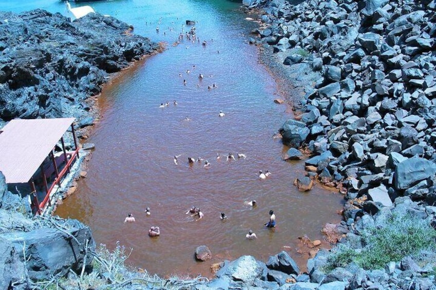 Hot Springs