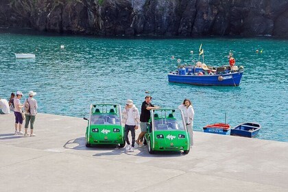 Funchal Excursion in an Electric Car