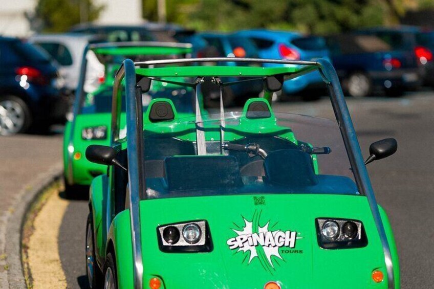 Spinach electric cars ready to start a new adventure in Madeira