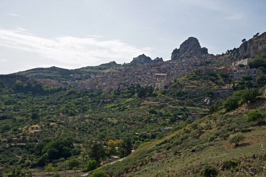 Oleotourism Caruso Between Art Olive Trees and Landscapes
