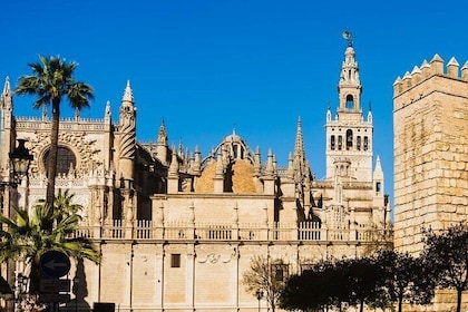 Small Group Tour to Cathedral and Giralda Direct Entrance