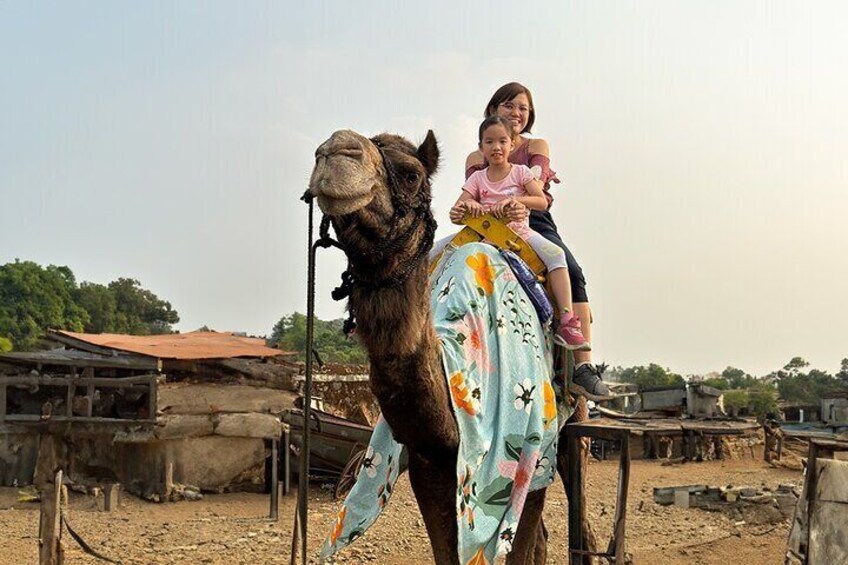 Hill-station & Heritage: Lonavala & Karla Caves Tour from Mumbai