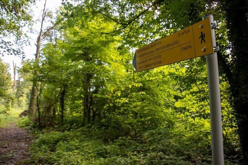 Lagodekhi - A day hiking from Tbilisi