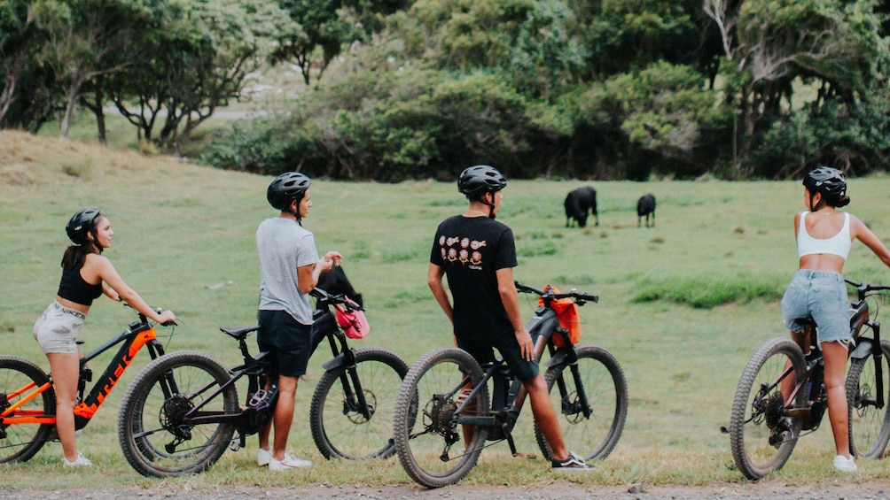 Electric Assisted Mountain Bike 2 Hour Tour