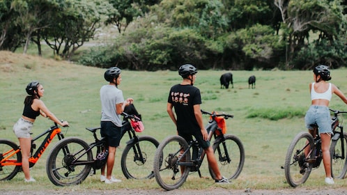 Elektrisk mountainbike 2 timmars tur på Kualoa Ranch