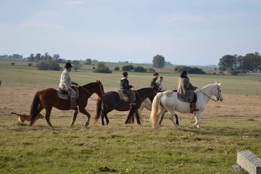 horseback riding